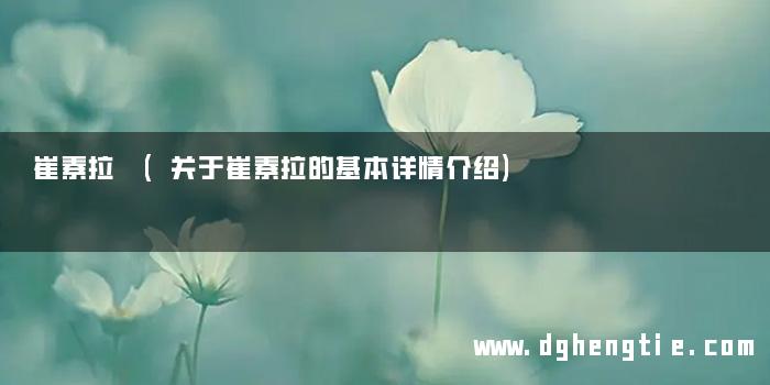 崔素拉 (关于崔素拉的基本详情介绍)